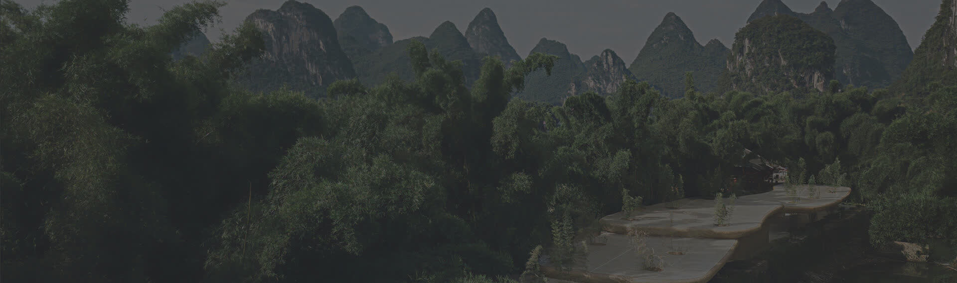 Bamboo forest — join the House of Bamboo team